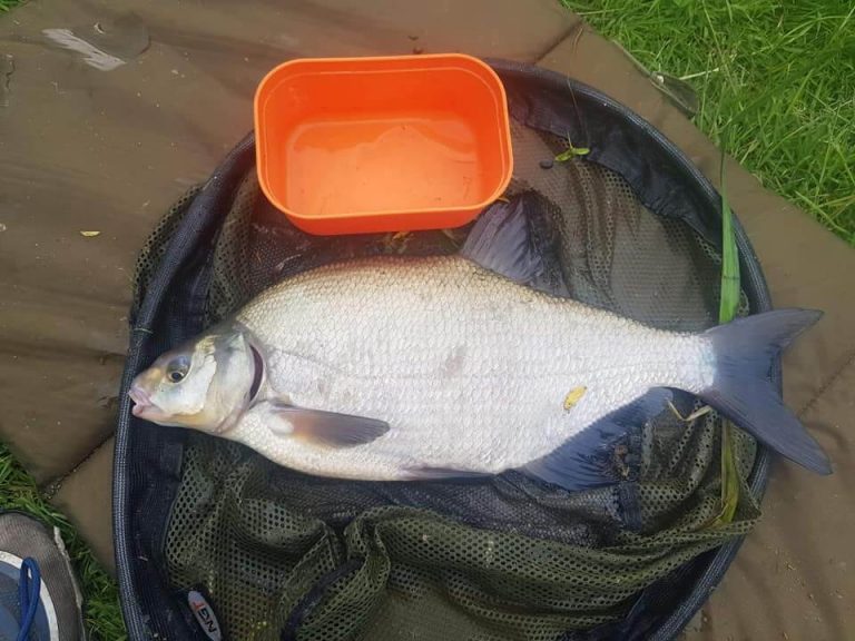 Bennion Pools Fishing Lakes