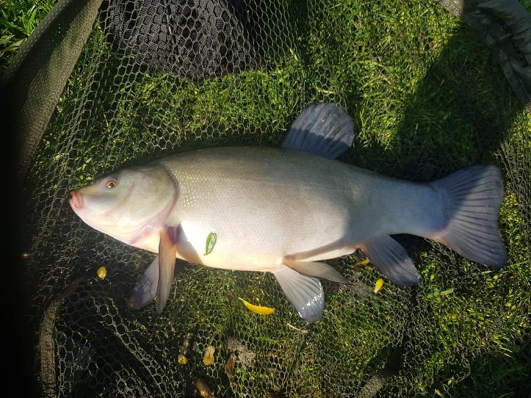 Bennion Pools Fishing Lakes