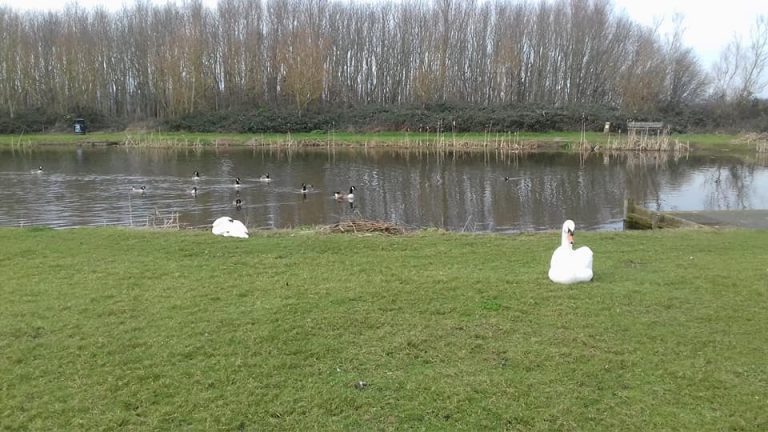 Bennion Pools Fishing Lakes