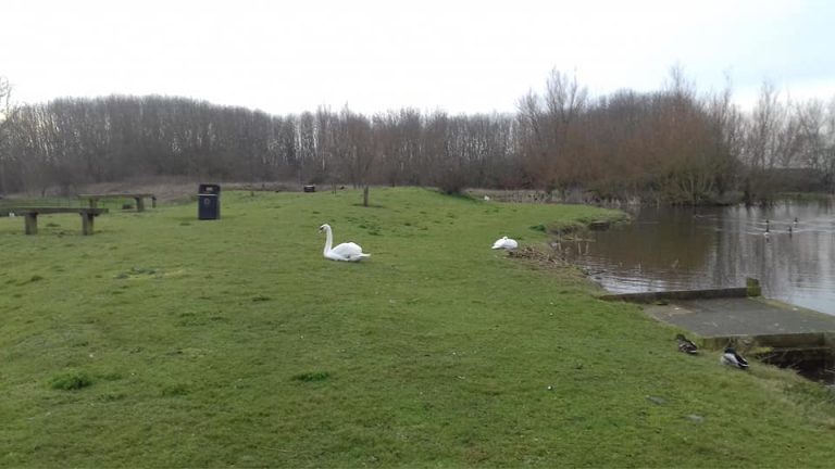 Bennion Pools Fishing Lakes