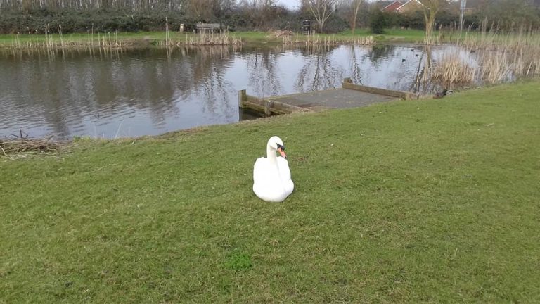 Bennion Pools Fishing Lakes